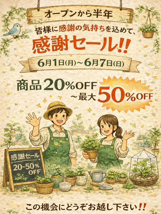 bebebeplantsがオープン半年感謝セール2026を開催、植物と鉢と資材類を割引販売