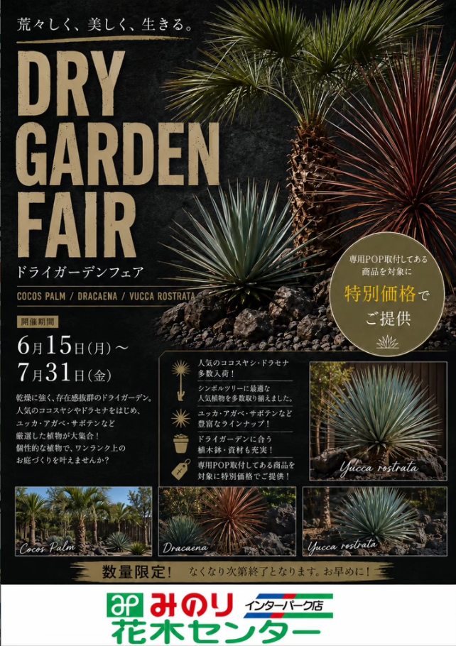 みのり花木センターがDRY GARDEN FAIRを開催、ココスヤシやドラセナなど庭づくり向け植物を販売