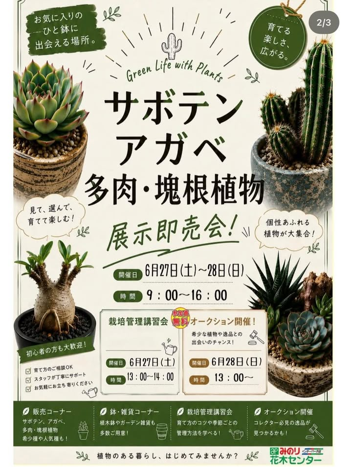 みのり花木センターがサボテンアガベ多肉塊根植物展示即売会を開催、植物と植木鉢の販売が宇都宮に集結