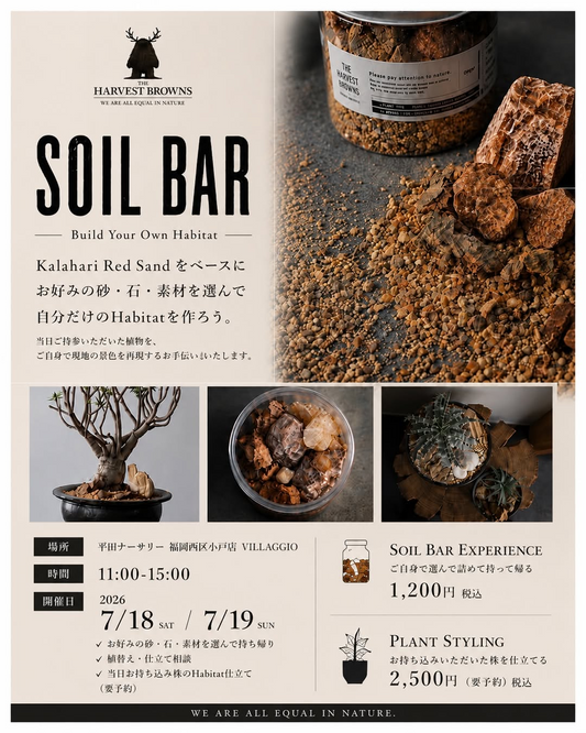 SOIL BARが平田ナーセリー福岡西区小戸店で開催、Kalahari Red Sandの素材選びとPlant Stylingを実施