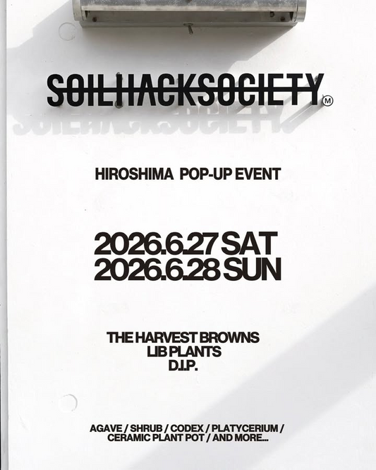BIZAR PLANTS in HIROSHIMAが開催、DIPとTHE HARVEST BROWNSとLIBPLANTSが出展