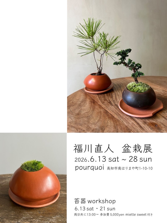 福川直人盆栽展がPOURQUOIで開催、盆栽展示販売と苔器ワークショップを高知で実施