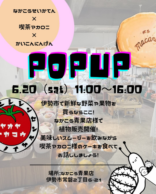 なこうせいかてんと喫茶マカロニとかいこんにんげんがPOPUPを開催、塊根植物とケーキ販売を伊勢市で実施