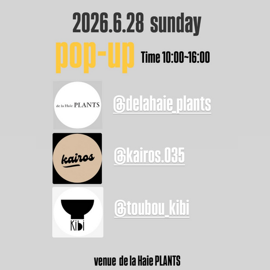 ドラエプランツPOP-UP2026が松山市で開催、kairos035と陶房kibiが植物と器の出会いを提案