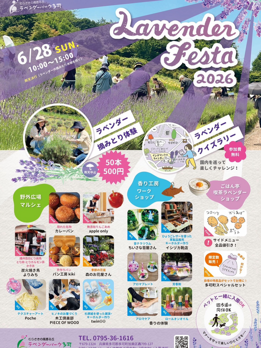 ラベンダーフェスタ2026が多可町で開催、ラベンダー摘みとり体験と苔テラリウムを実施