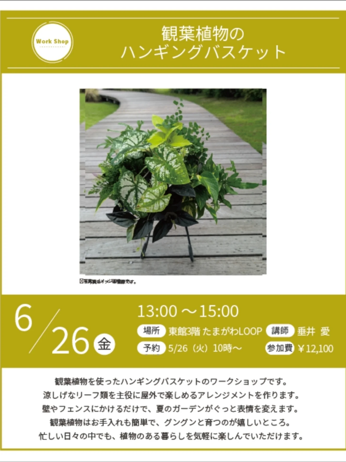観葉植物を使ったハンギングバスケットワークショップ2026が玉川高島屋で開催、夏のガーデン向け作品を制作
