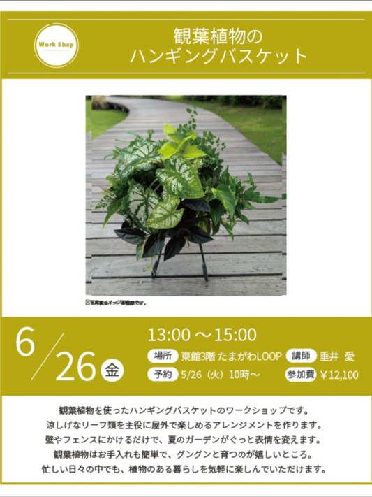 観葉植物を使ったハンギングバスケットワークショップ2026が玉川高島屋で開催、夏のガーデン向け作品を制作