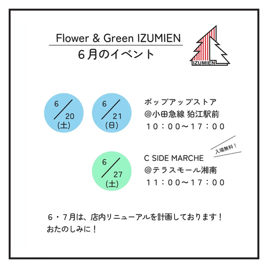 FlowerandGreenIZUMIENがCSIDEMARCHE2026に初出店、テラスモール湘南で草花と観葉植物を展開