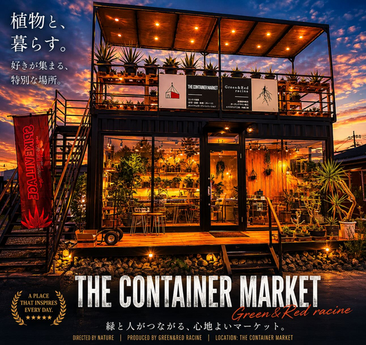 THECONTAINERMARKETゲリラセールが延長、アガベ追加株と鉢物all30offを実施