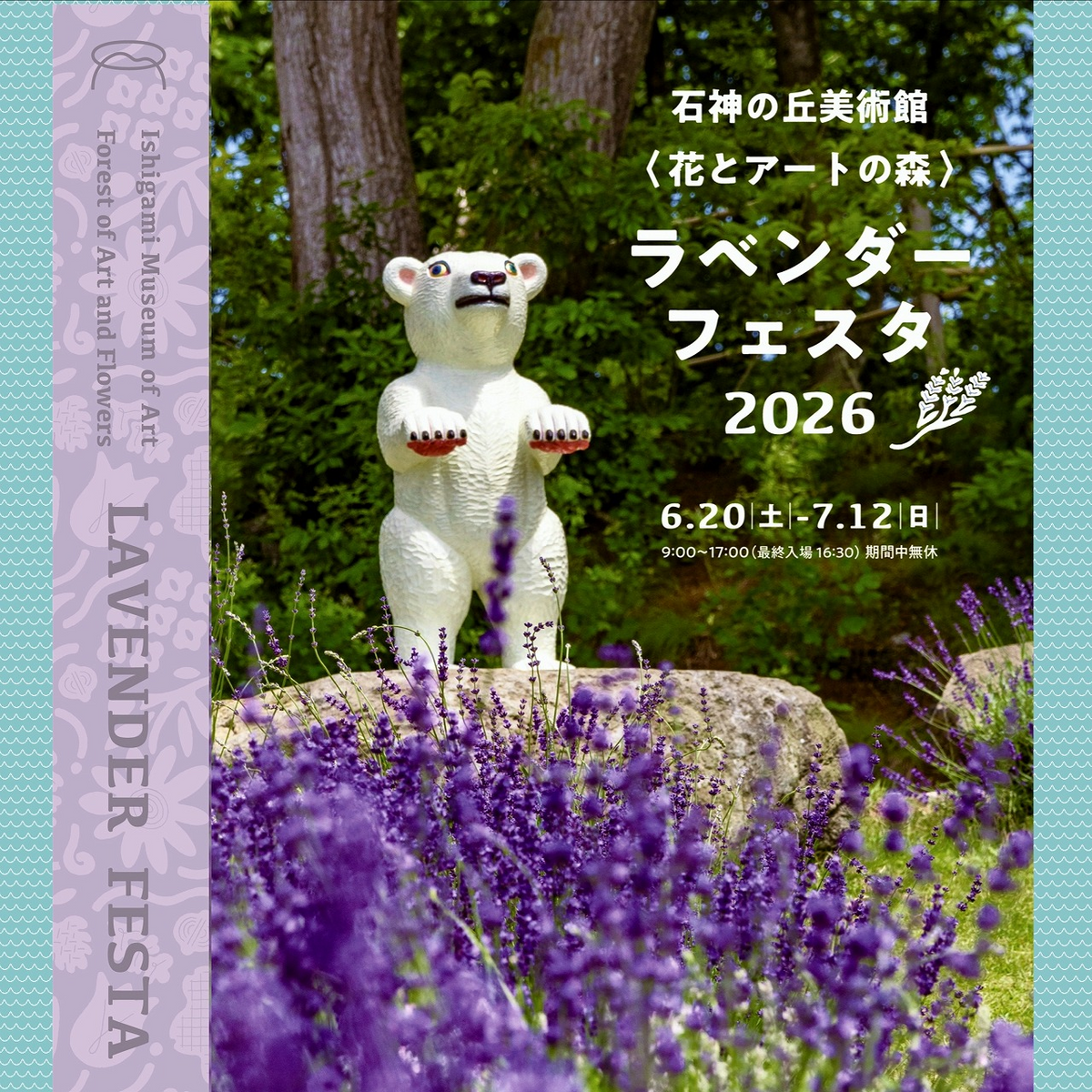 石神の丘美術館ラベンダーフェスタ2026が開催、花とアートの森でつ