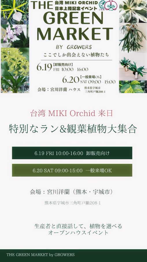 THE台湾MIKIORCHID日本上陸記念イベント2026が宇城市で開催、希少ランと観葉植物の生産者が集結