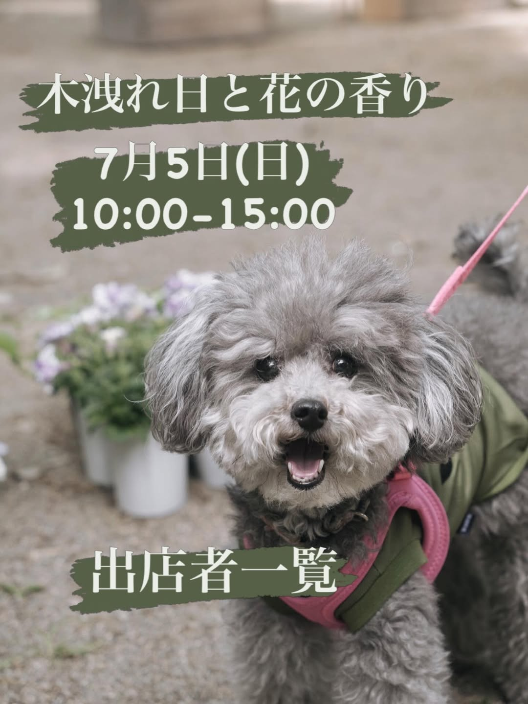 木洩れ日と花の香り2026が川越仙波東照宮で開催、花植物アンティーク古着が集まるマーケット