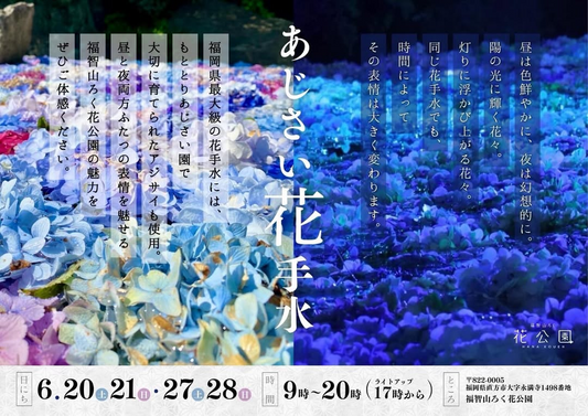 アジサイ花手水2026が福智山ろく花公園で開催、昼夜で異なる花手水とライトアップを実施