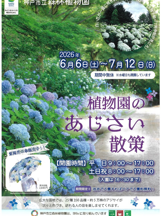 植物園のあじさい散策2026が神戸市立森林植物園で開催、25種350品種約5万株のアジサイを公開