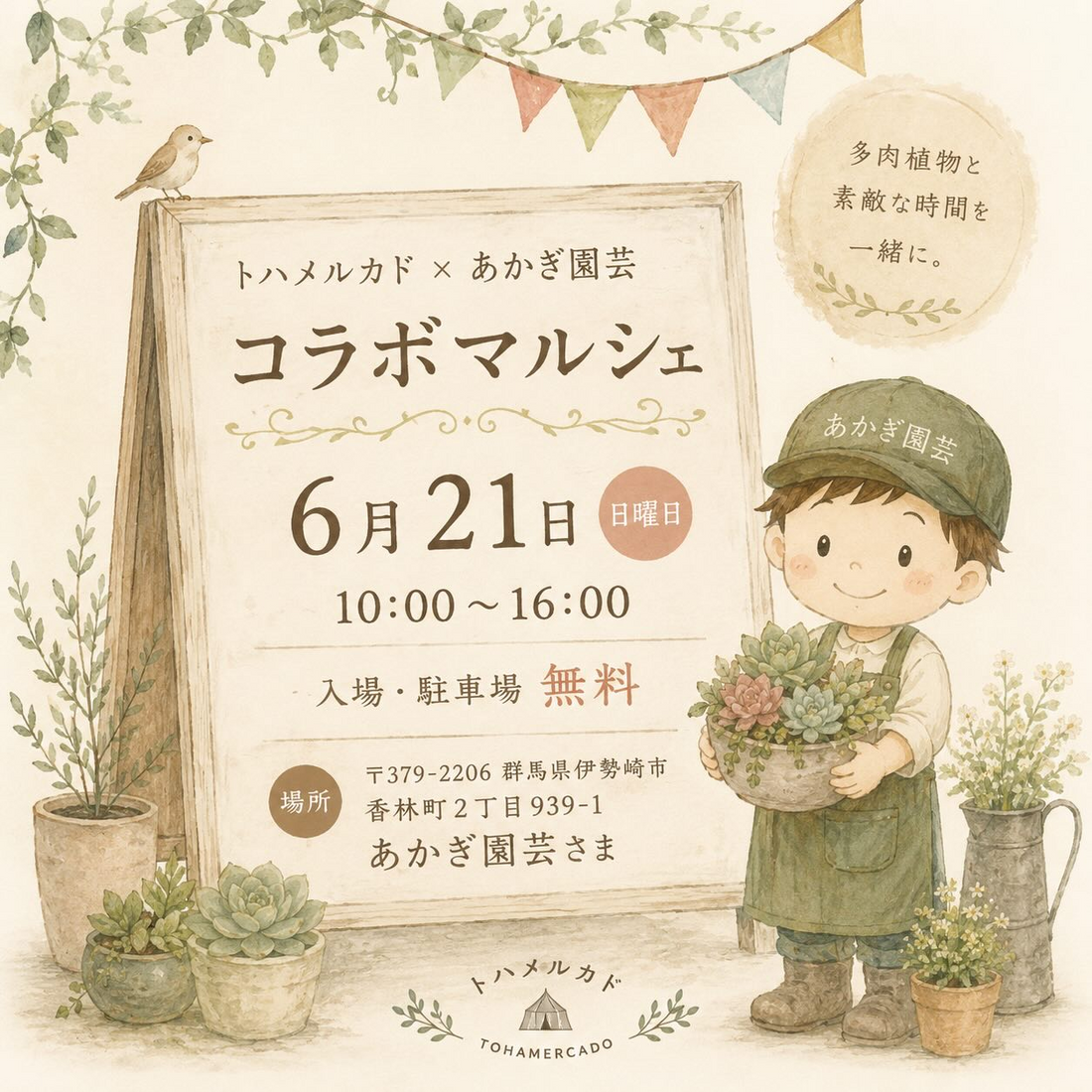 トハメルカドとあかぎ園芸コラボマルシェ2026が開催、多肉植物や雑貨とワークショップが伊勢崎に集結