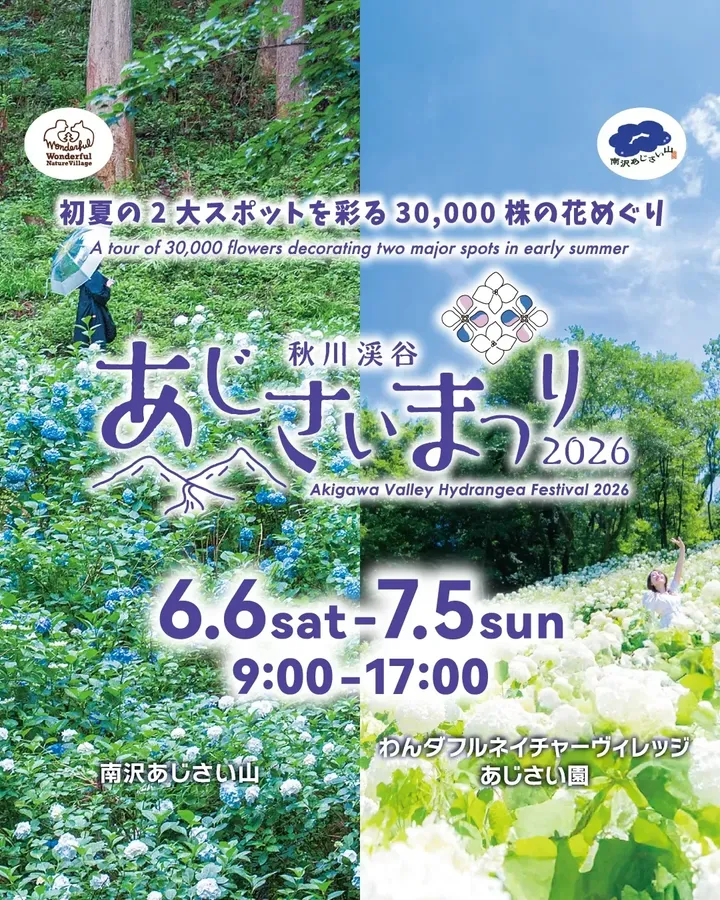 秋川渓谷あじさいまつり2026が南沢あじさい山などで開催、約30000株の花景色が広がる