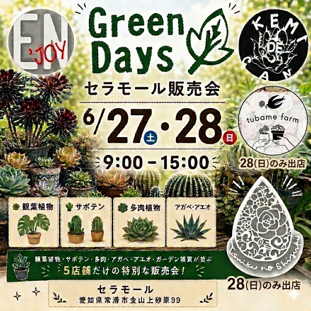 Green Daysセラモール販売会2026が愛知県常滑市で開催、多肉植物とアガベや雑貨が集まる