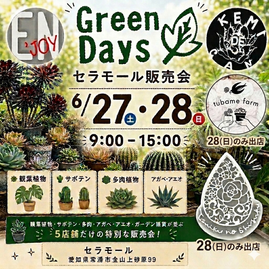 Green Daysセラモール販売会2026が愛知県常滑市で開催、多肉植物とアガベや雑貨が集まる