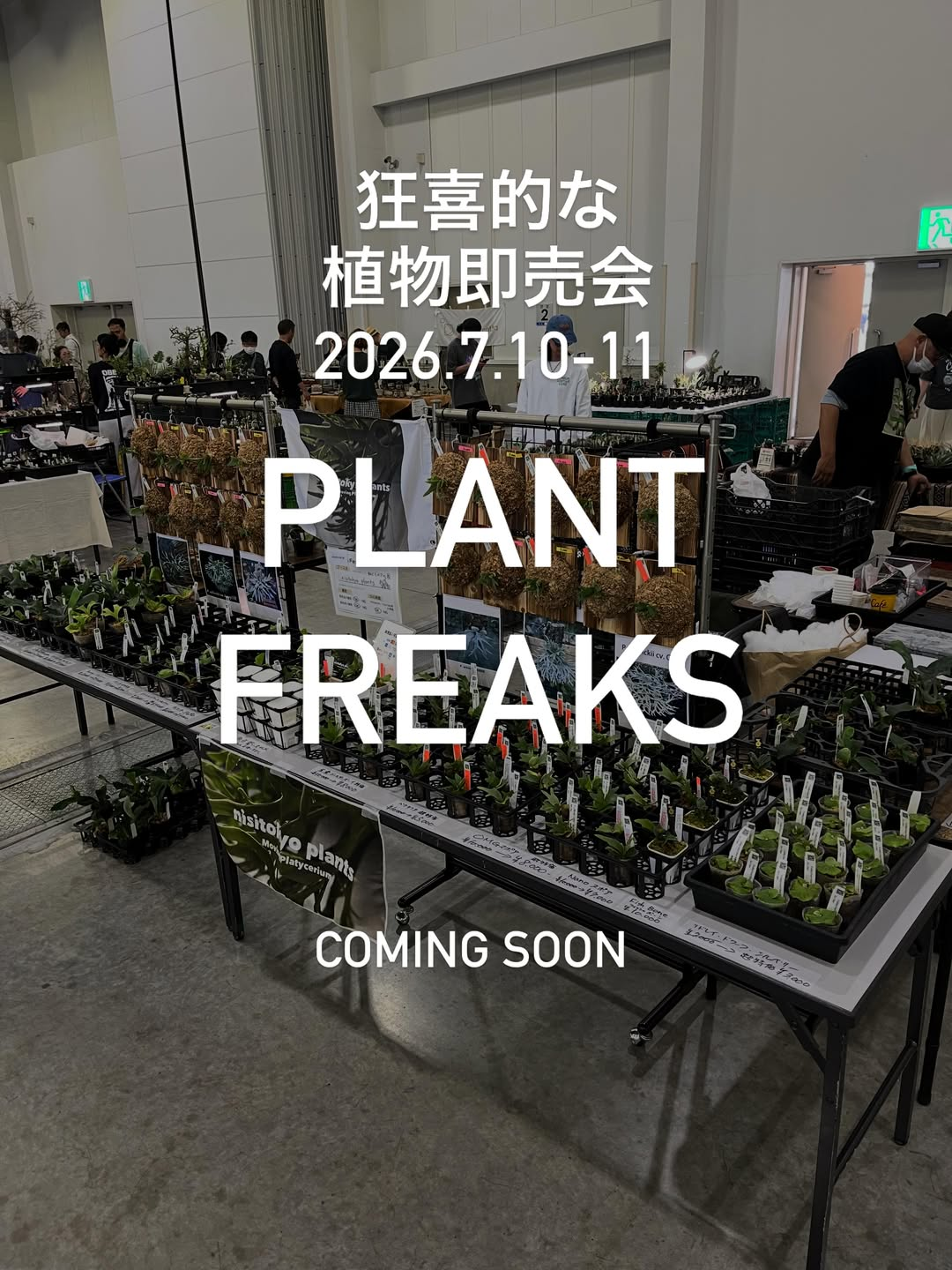 PLANTFREAKSvol.6がオリナス錦糸町で開催、塊根植物やアガベの即売会に注目