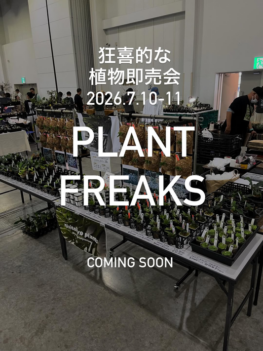 PLANTFREAKSvol.6がオリナス錦糸町で開催、塊根植物やアガベの即売会に注目