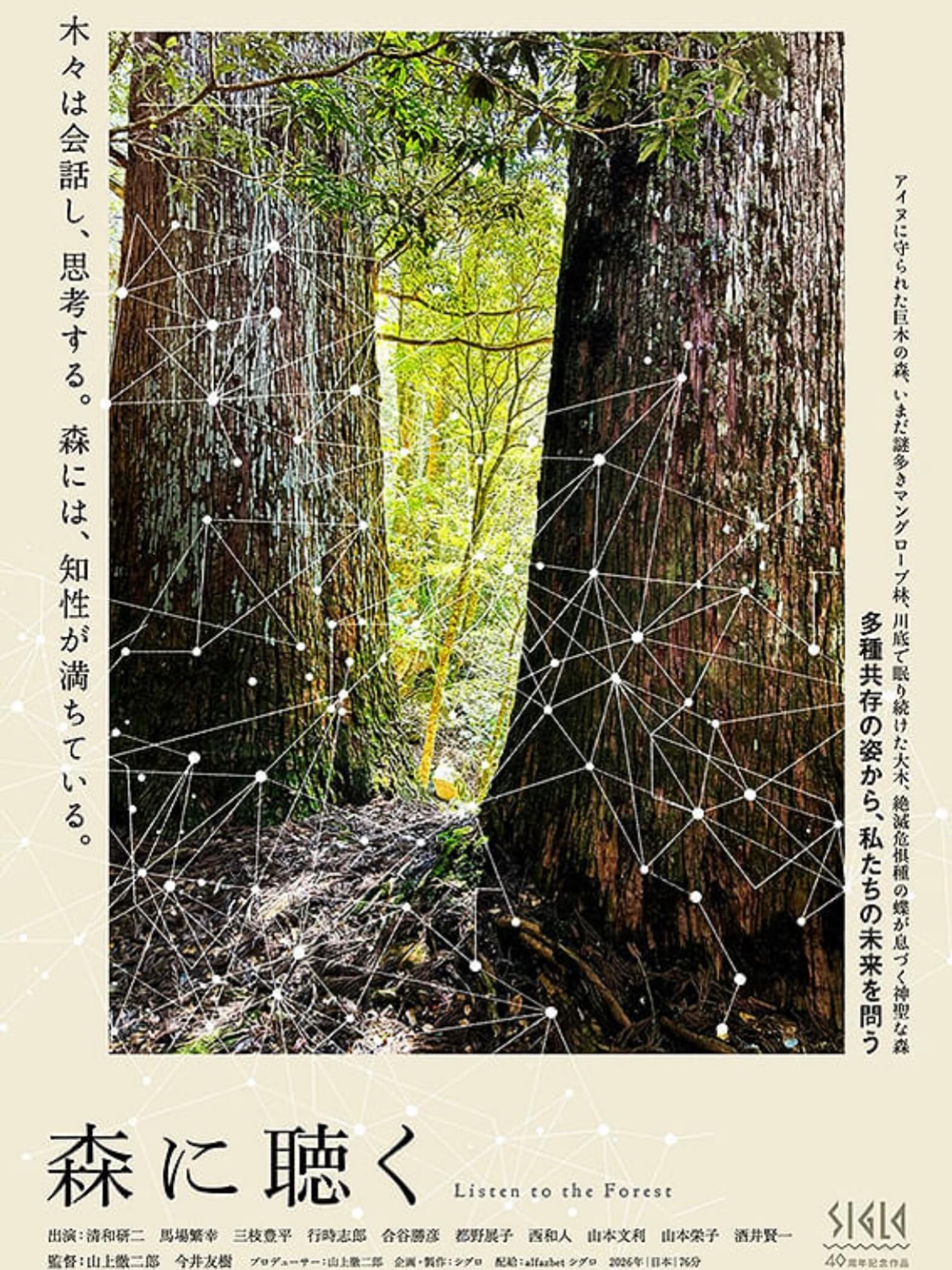 森に聴くListentotheForestがCINEMAAMIGOで上映、巨木の森と多種共存の