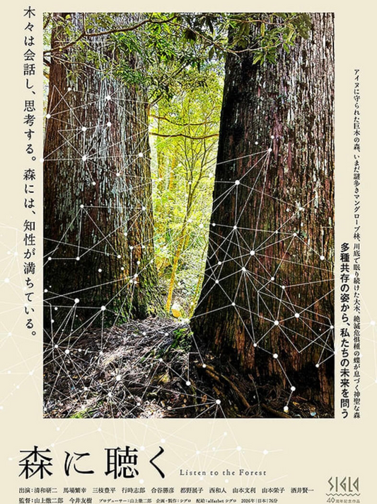 森に聴くListentotheForestがCINEMAAMIGOで上映、巨木の森と多種共存の世界に迫る