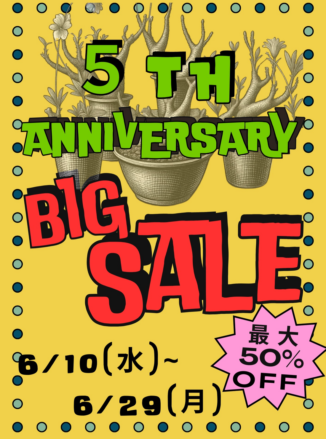 NORMAN5THANNIVERSARYBIGSALE2026が開催、塊根植物やサボテンの大幅割引SALEに注目