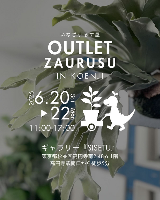 OUTLETざうるす2026が高円寺SISETUで開催、フェイクグリーンのアウトレット品が登場