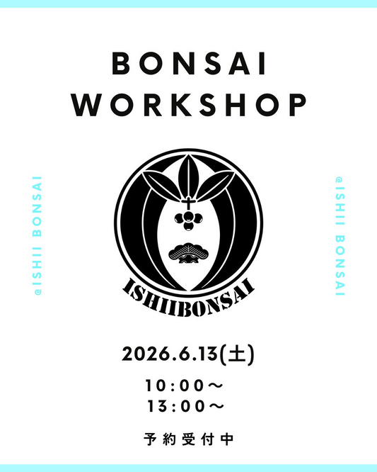 BONSAIWOEKSHOP2026が石井盆栽園で開催、初心者向けの盆栽教室で育て方を相談可能