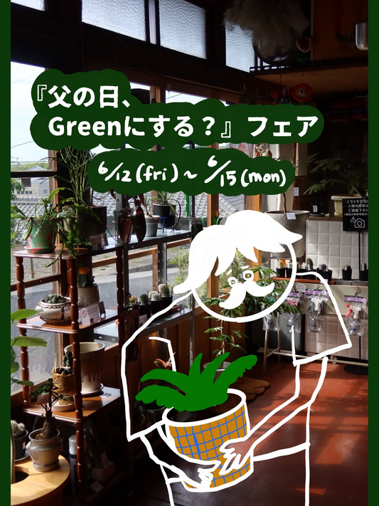 父の日GREENにするフェア2026がジャデルトウキョウフラワーで開催、観葉植物5%オフSALEを実施