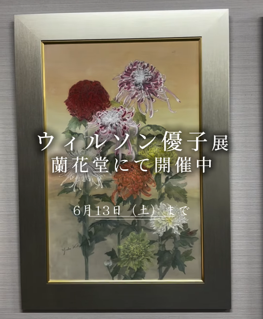 ウィルソン優子展2026が神保町の蘭花堂で開催、東京初の作品展で菊花の世界を紹介