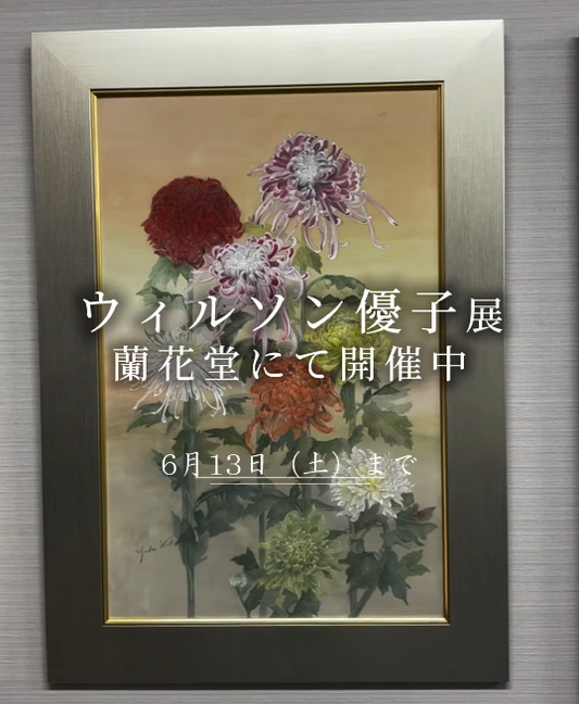 ウィルソン優子展2026が神保町の蘭花堂で開催、東京初の作品展で菊花の世界を紹介