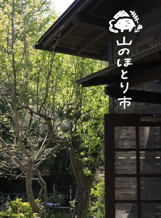 山のほとり市2026がFlowerProjectChouetteで開催、白井坂の自然体験マルシェに多彩な出店者が集結