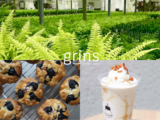 学んでHATA楽茅葺Cafe八多花2026が八多ふれあいセンターで開催、ダリアトークと寄せ植えを実施