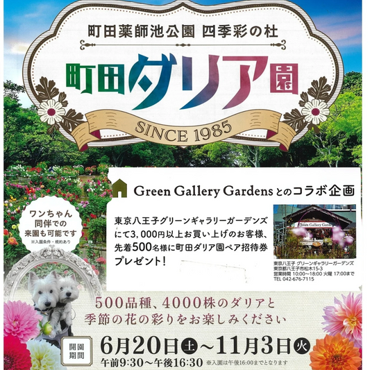 グリーンギャラリーガーデンズ町田ダリア園コラボ企画2026が実施、3000円以上購入でペア招待券を配布