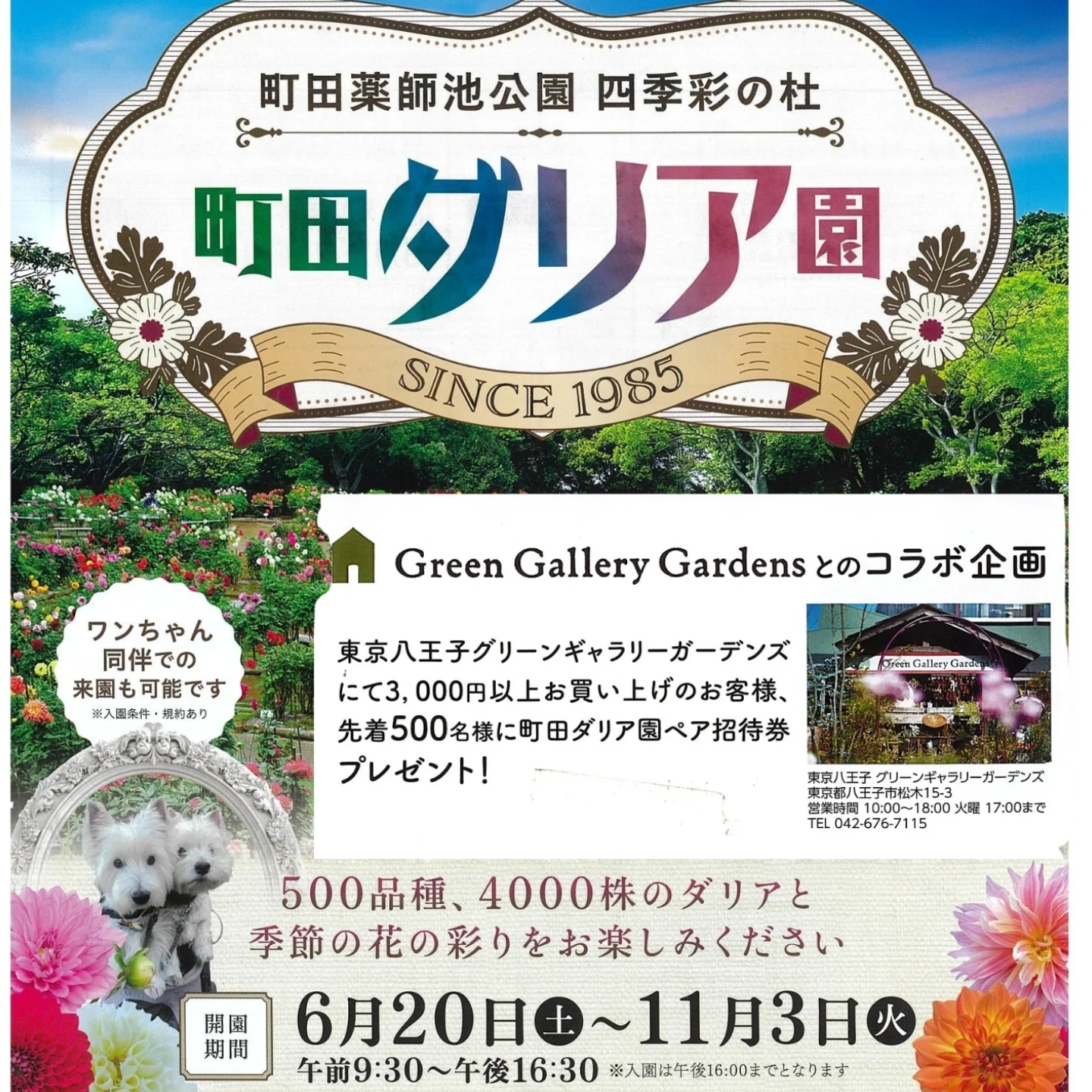 2026年11月 関東の植物イベント・即売会一覧 - リーフラ編集部