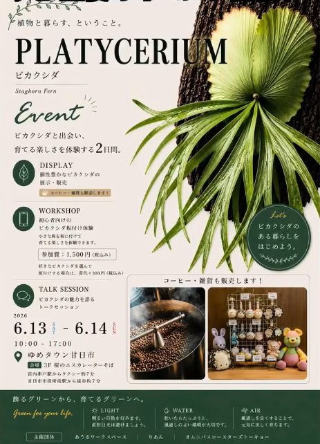 植物と暮らすビカクシダ2026がゆめタウン廿日市で開催、展示販売と板付け体験を実施