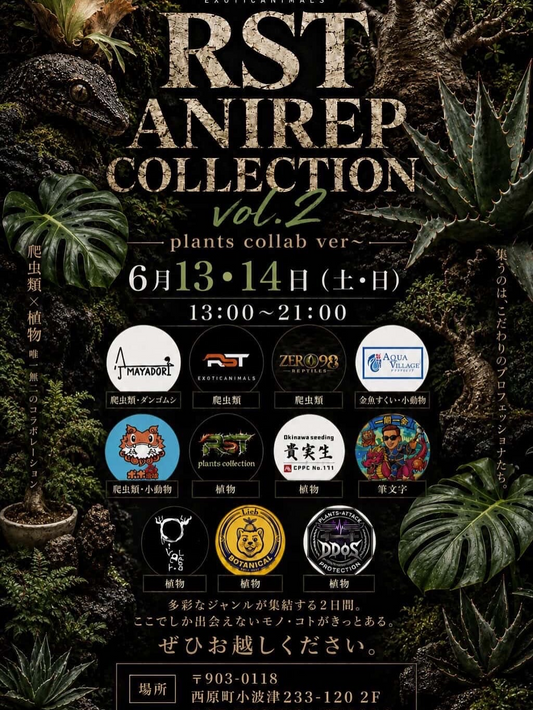 RSTANIREPCOLLECTIONvol22026がRSTEXOTICANIMALSで開催、爬虫類と植物販売がコラボ