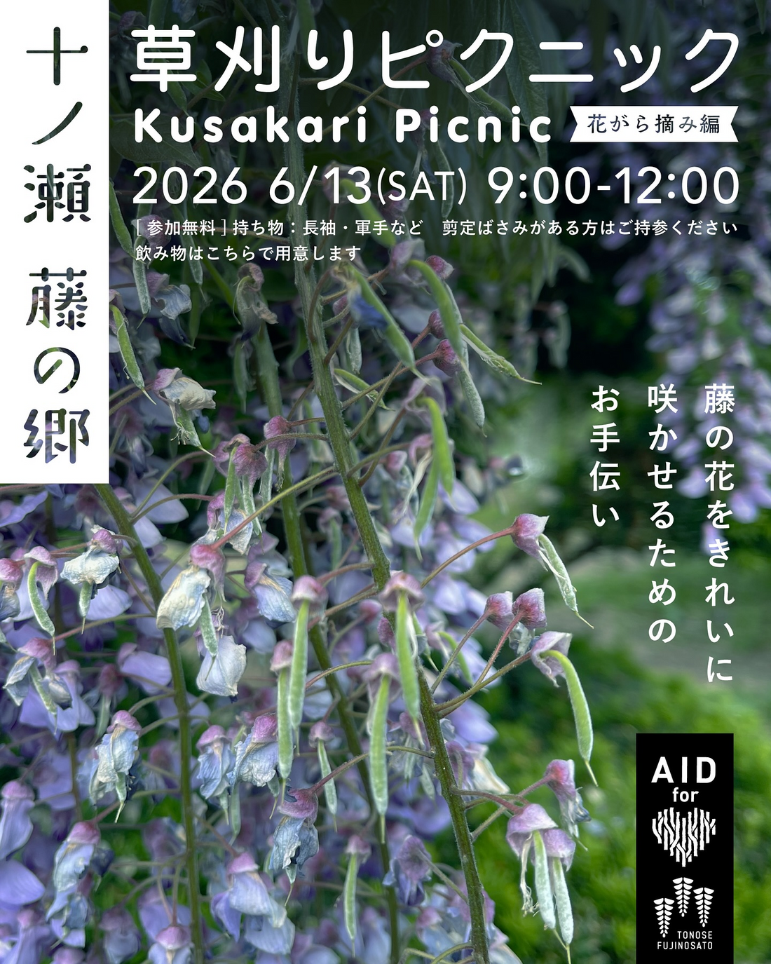 十ノ瀬藤の郷草刈りピクニック花がら摘み編2026が開催、藤の花をきれいに咲かせる手入れ企画