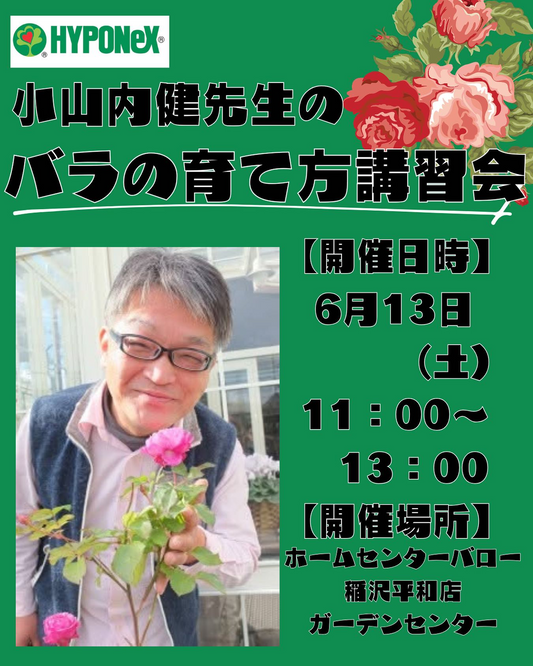 バラの育て方講習会2026がホームセンターバロー稲沢平和店で開催、夏に向けたお手入れを小山内健先生が解説
