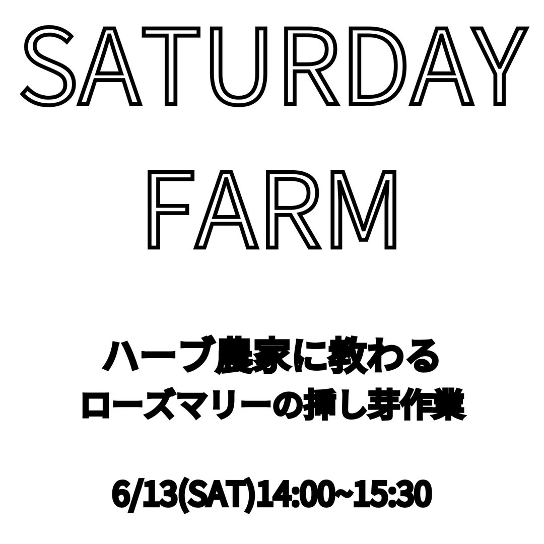SaturdayFarm2026が渋谷区ふれあい植物センターで開催、ローズマリーの挿し芽作業をハーブ農家に学ぶ