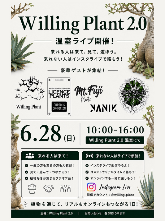 WillingPlant2.0温室ライブ2026が東松山で開催、ゲスト4組と現地販売やInstagramLiveを実施