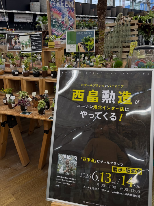 花宇宙ビザールプランツ展示販売会2026がコーナン港北インター店で開催、西畠勲造の厳選植物が登場