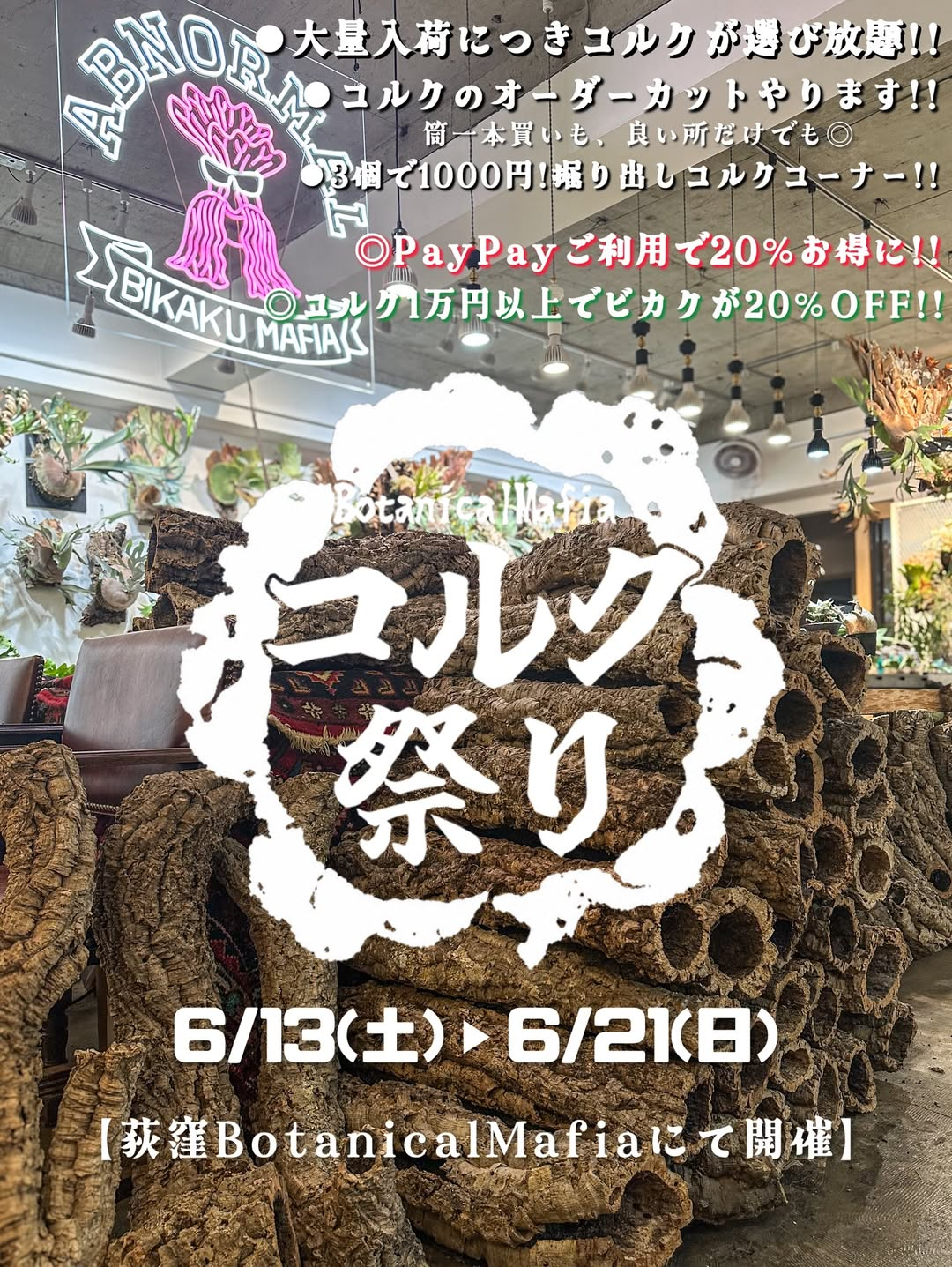 コルク祭り2026がbotanical mafia荻窪で開催、コルク大量入荷とビカクシダ割引を実施