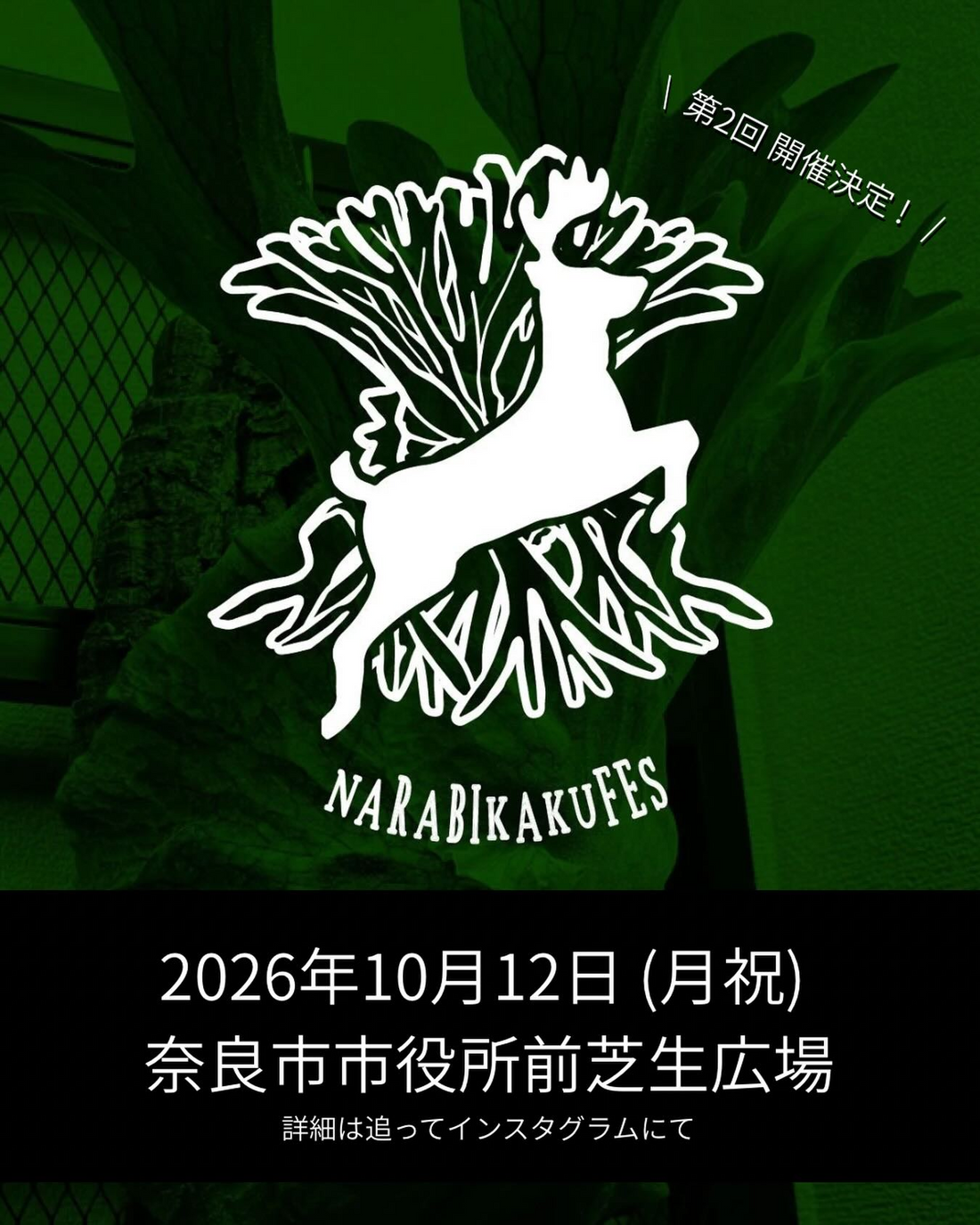 NARABIKAKUFES vol.2が奈良市役所前芝生広場で開催、植物と飲食の店舗が集まる第2回イベント