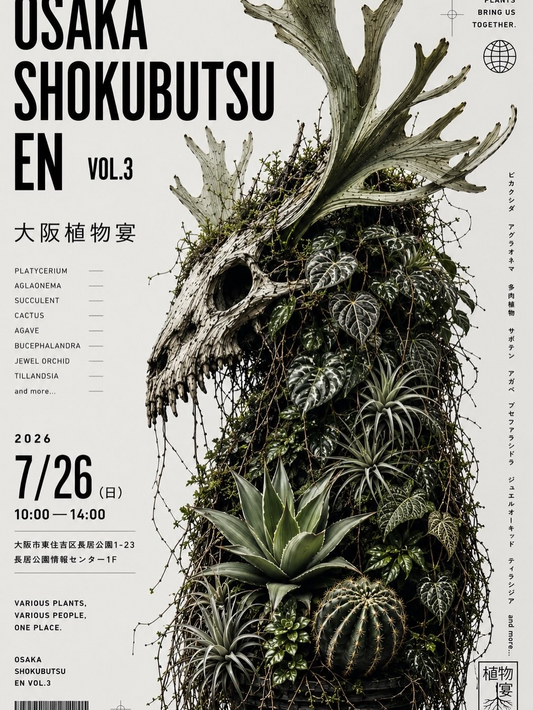 OSAKA SHOKUBUTSU EN VOL.3 第三回大阪植物宴が長居公園で開催、ビカクシダやアガベなど多様な植物が集結