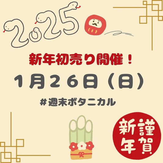 週末ボタニカルが静岡で新年初売りイベントを開催、35店舗が参加して希少植物の展示販売とじゃんけん大会を実施