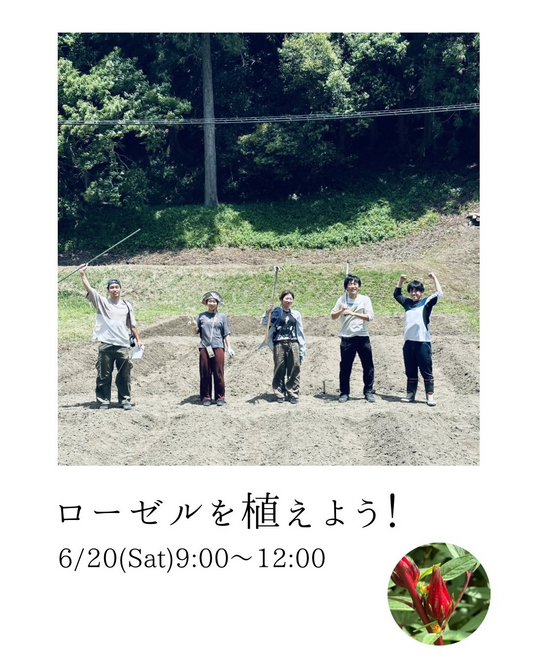 里山にハーブ畑を作ろうローゼル植え付けワークショップ2026が多賀町で開催、耕作放棄地をハーブ畑に活用