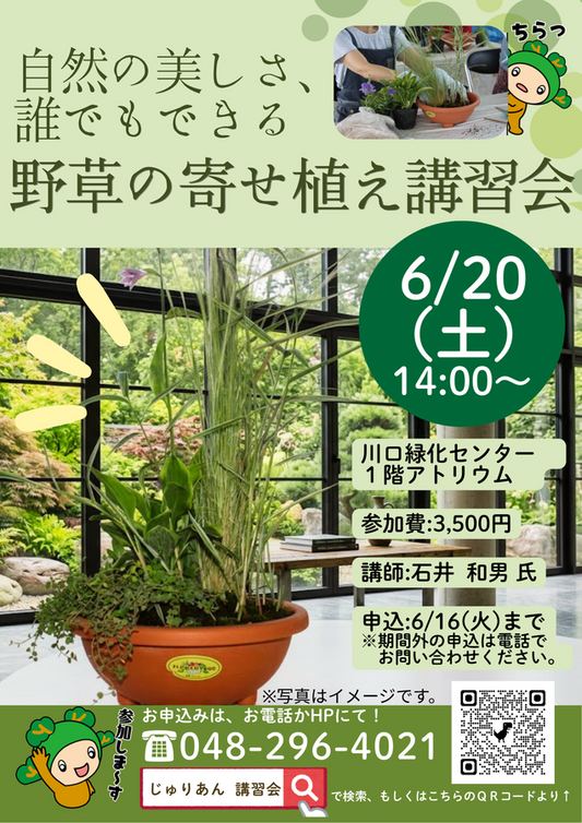 誰でもできる野草の寄せ植え講習会2026が川口緑化センターで開催、初心者向け園芸体験を実施