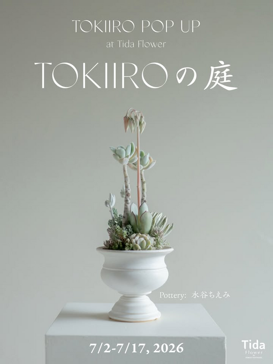TOKIIROの庭2026がTidaFlower表参道店で開催、多肉植物POPUPと特別ワークショップを実施